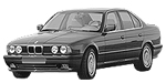 BMW E34 P0AE9 Fault Code
